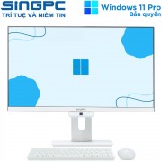 Máy tính All in one SingPC M24Pi382-W14