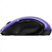 Chuột không dây chống ồn công thái học Genius Ergo 8200S8